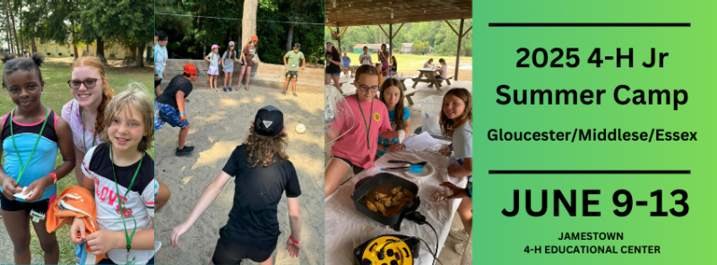 4-H Camp